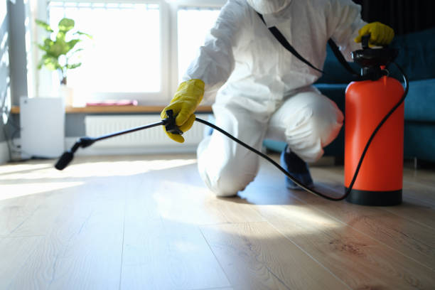 Trusted Gold River, CA Pest Control Experts