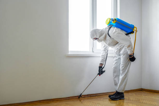 Best Affordable Pest Control Services  in Gold River, CA