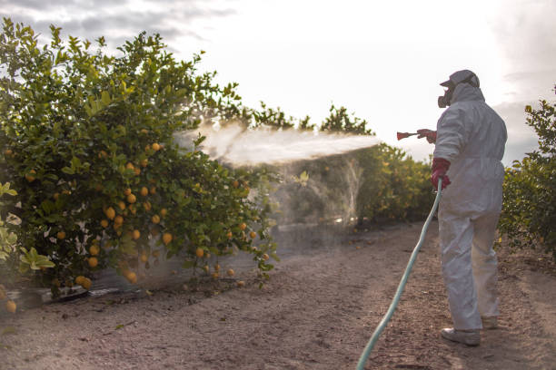 Best Best Pest Control Companies  in Gold River, CA