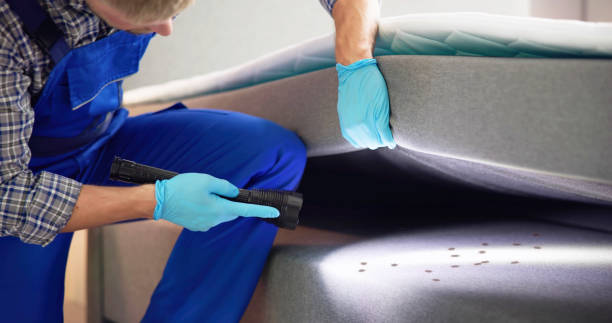 Best Flea Control Services  in Gold River, CA