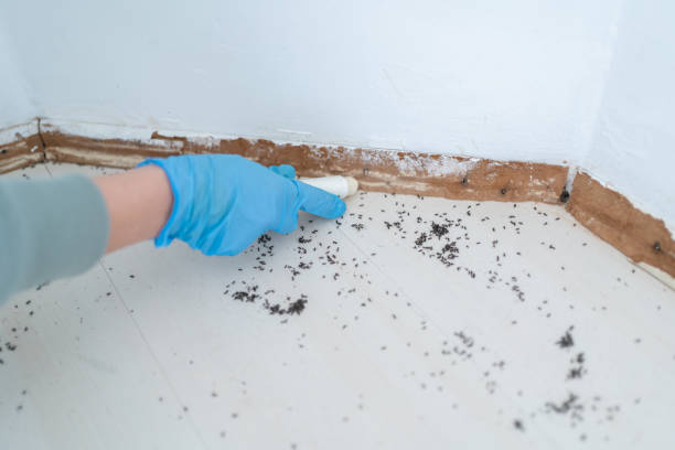 Best Pest Prevention Services  in Gold River, CA