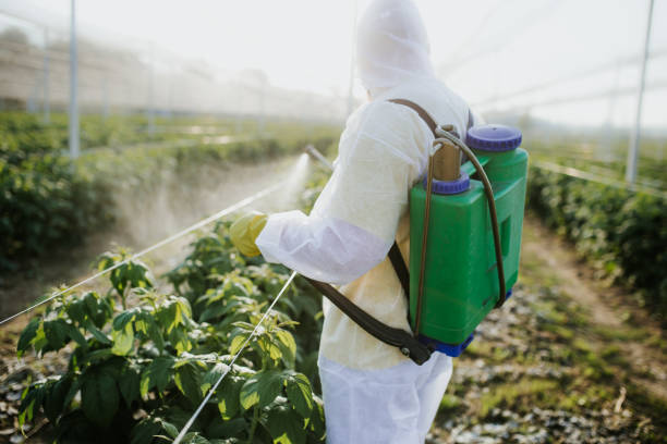 Best Wasp Removal Services  in Gold River, CA